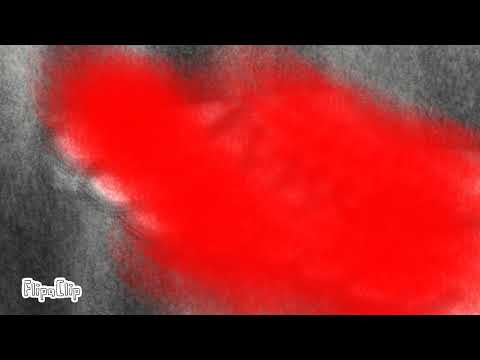 hawk in the night oc animatic