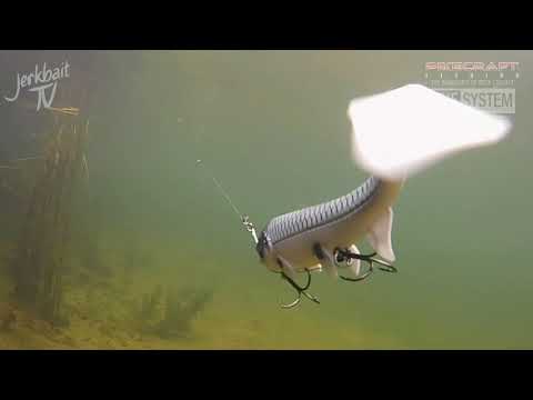 Shallow Screw System - The System & Hostagevalleylures in Action
