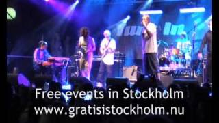 Chords, Timbuktu & Spiderdogs - Det Löser Sig, Live at Stockholms Kulturfestival, Stockholm 4(5)