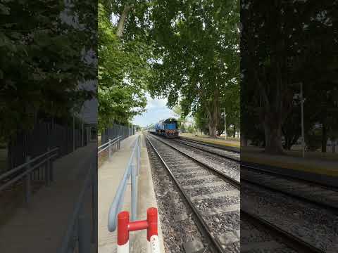 GM G22 A714 con el tren Villa Ballester a zarate llegando a General Pacheco