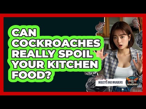 Can Cockroaches Really Spoil Your Kitchen Food? - Insects and Invaders