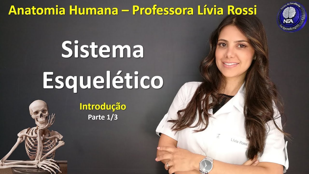 Anatomia Humana - Sistema Esquelético - Introdução (1/3)