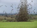 Learning To Construct Tornado
