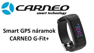 Carneo G-Fit+