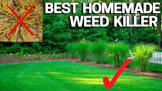 Best Homemade Organic Weed Control - Natural & Safe Vinegar Boosted