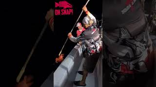 Download lagu On Snap Person #Snapper#Fishing#Short mp3