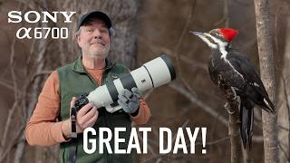 Sony a6700 Bird Photography with 200-600 Lens!