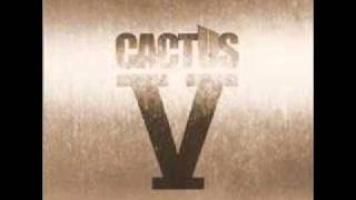 CACTUS - Electric Blue