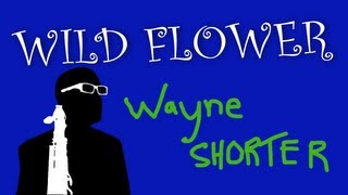Wild Flower - Wayne Shorter