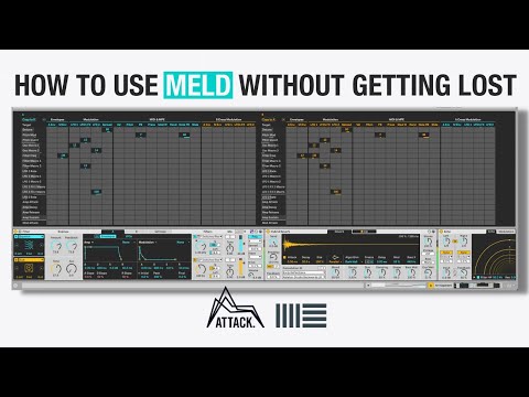 How to use MELD in Live 12 to make a track from scratch @Ableton