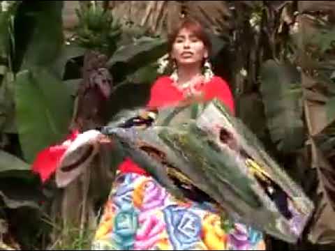 Amor Carnaval - Liz Campos