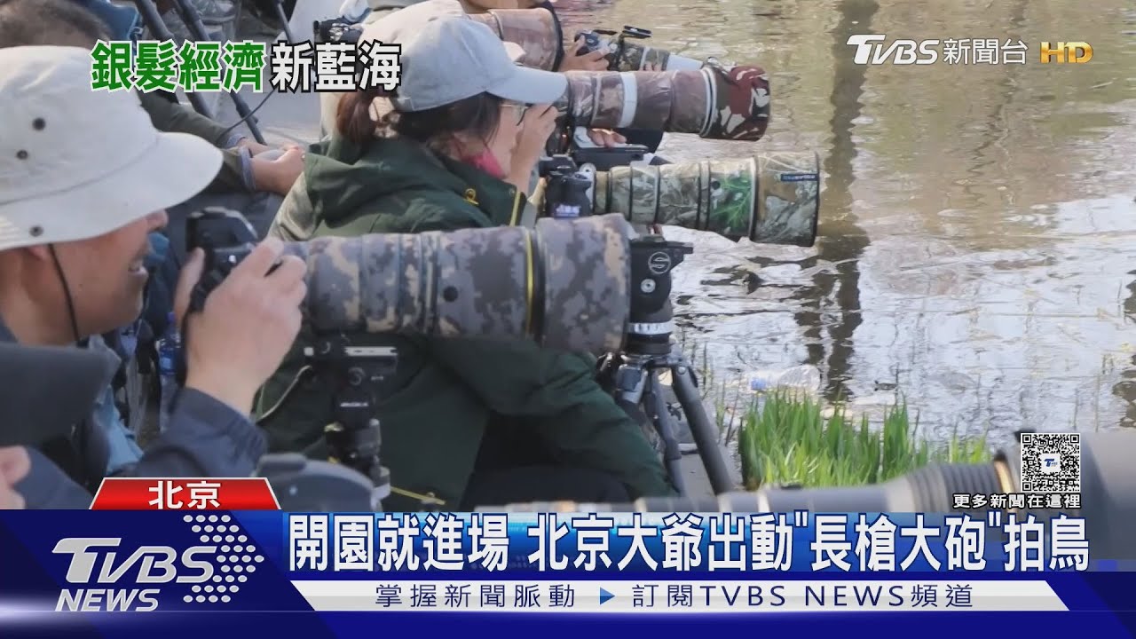 相機一台45萬起跳 北京大爺砸錢拍鳥買「長槍大砲」