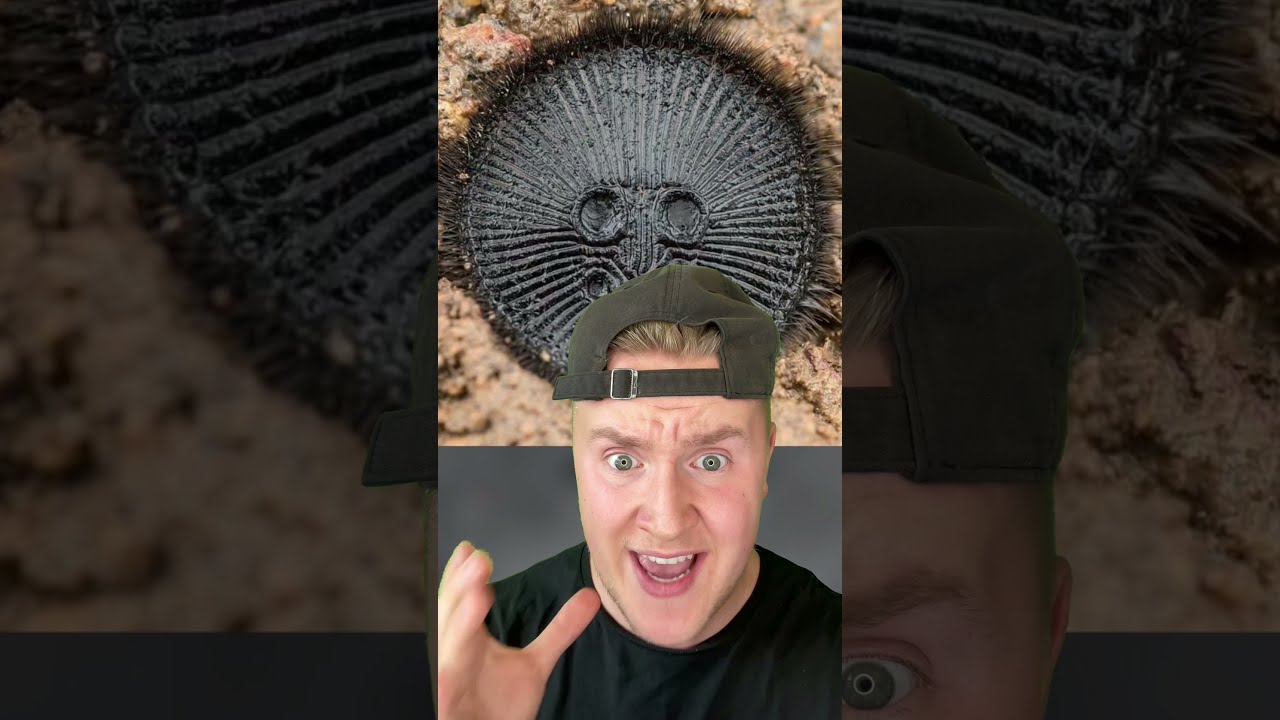 Watch video IF YOU SEE THIS ON THE GROUND DO NOT PICK IT UP!! Now IF YOU SEE THIS ON THE GROUND DO NOT PICK IT UP!!