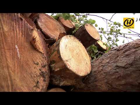 Сушилки до 15 т. в час. для опилок, щепы, торфа, биомасс