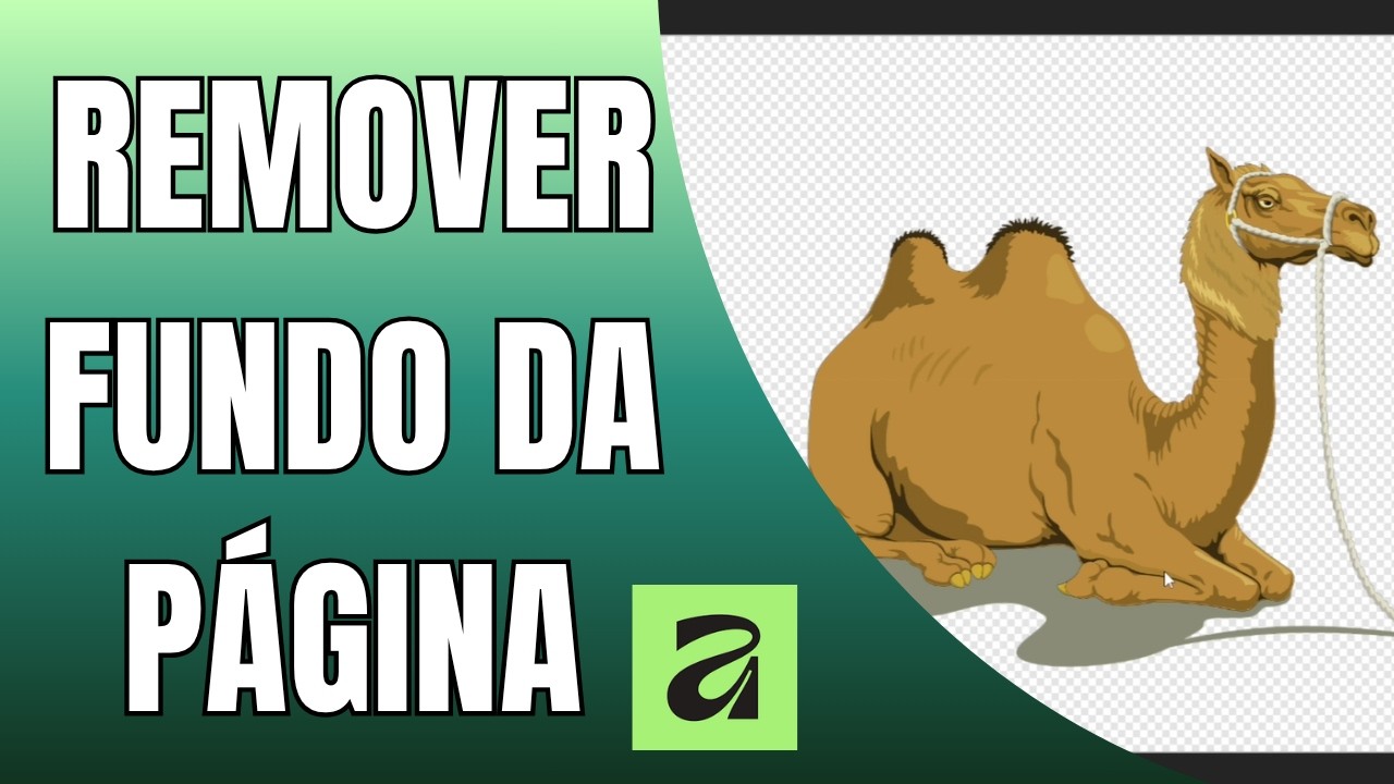 How to Change the Page Background to Transparent in Affinity and Export as PNG