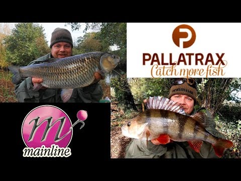 Fishing small rivers for Chub and Perch (Video 154)