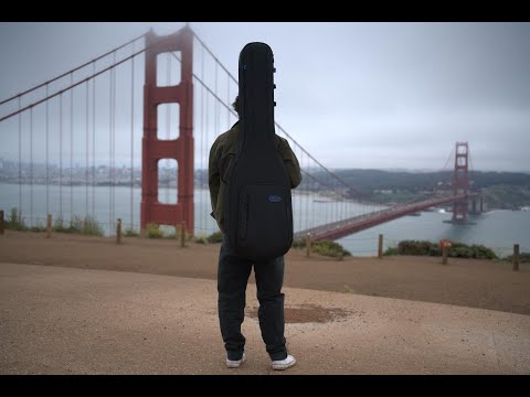 Reunion Blues Expedition Semi-Hollow Electric Guitar Case image 9