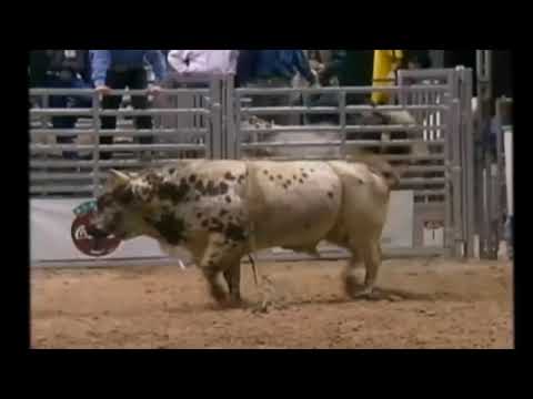 Ted Nuce vs. Dagger – 94 PBR-Finale (83,5 Punkte)