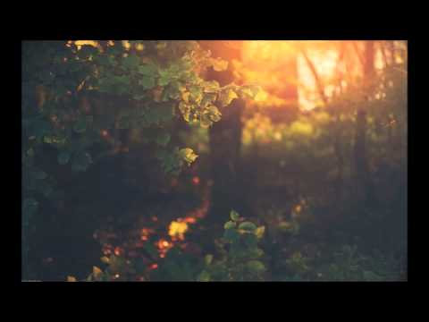 Anthony Sorbello, Danny McCarthy - Party Pickup