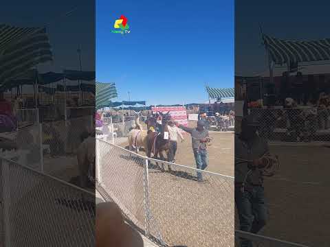 | Expoferia de camélidos Toledo  | Provincia Saucarí Oruro Bolivia 2026 #culturaboliviana