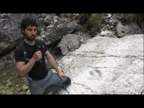 L'anello di forcella Clautana - SentieriNatura 2010 - 10