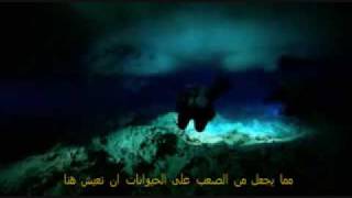 Barrier In Salt & Sweet Water-Allah's Miracles in the Qur'an البرزخ بين البحرين