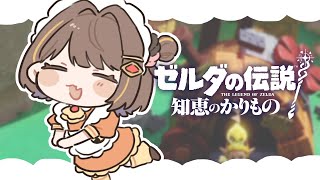 Bパート(ゼルダ) - 【ゼルダの伝説 知恵のかりもの】まったりストーリー進める~! #5【 ぶいすぽっ! / 千燈ゆうひ 】