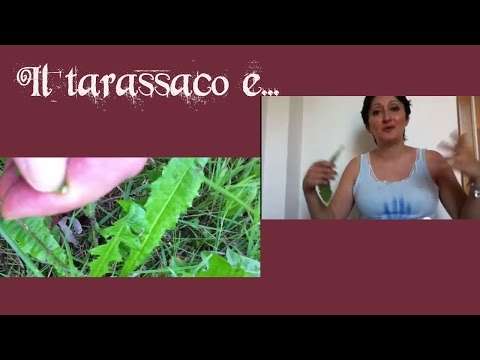 Come non fare lattenzione a quello che il marito beve La madre e le matrigne per quello che la bevanda lascia
