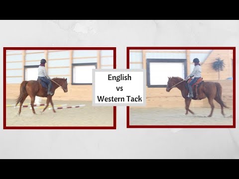 Does changing disciplines change your riding?