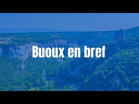 Video vignette