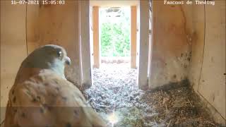 The nostalgic couple visiting the birdhouse
