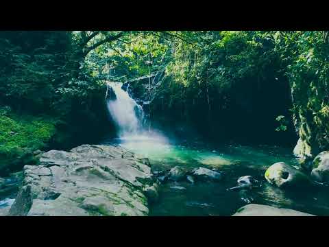 Aluna drone video thumbnail