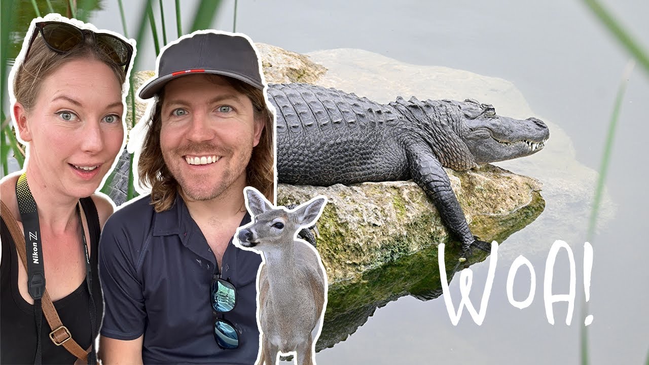 Adventures in Florida Keys! We saw alligators and tiny deer!