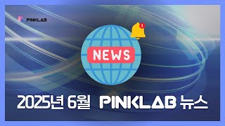 [PINKLAB] 2025 6월 핑크랩 뉴스｜핑크랩은 뭘 할까｜근황 소개