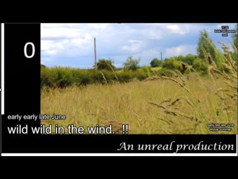 dance in a summer breeze.. my village Monday 27th June 2022