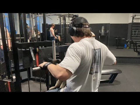 Spring Back/Rear Delts Day 138 - Bulk