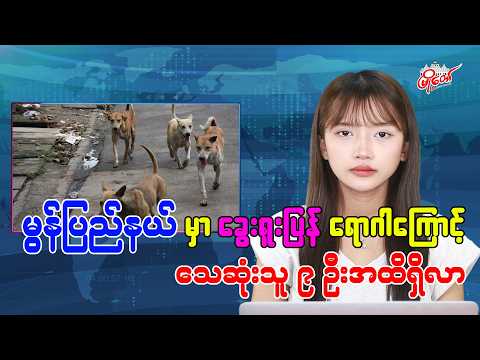 မွန်ပြည်နယ်မှာ ခွေးရူးပြန်ရောဂါကြောင့် သေဆုံးသူ ၉ ဦးထိရှိလာ