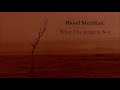 Blood Meridian and The Judge: A Better Perspective