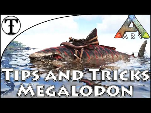Fast Megalodon Taming Guide :: Ark : Survival Evolved Tips and Tricks