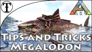 Fast Megalodon Taming Guide :: Ark : Survival Evolved Tips and Tricks