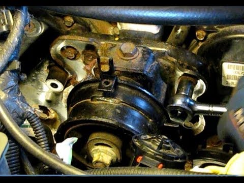 download lagu mp3 mp4 1997 Dodge Caravan 3 0 Timing Belt Replacement, download lagu 1997 Dodge Caravan 3 0 Timing Belt Replacement gratis, unduh video klip 1997 Dodge Caravan 3 0 Timing Belt Replacement