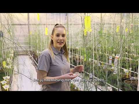 Zuijdher x Limgroup gewasverzorger