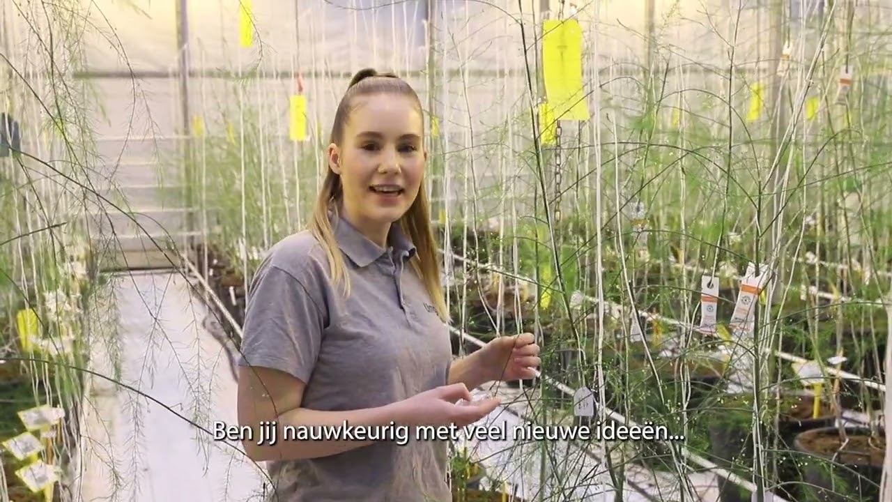 Zuijdher x Limgroup gewasverzorger