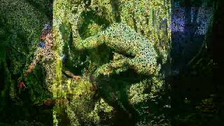 The Forest Awakes - David Byrne &amp; St. Vincent