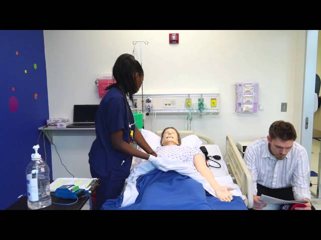 Understanding Nursing Simulation Scenarios: A Physical Assessment Case ...