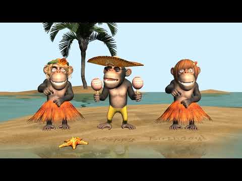 Funny Happy Birthday Song  Monkeys sing Happy Birthday To You