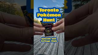 Perfect Order? Perfect cottage. Pokémon Rips in Nature.