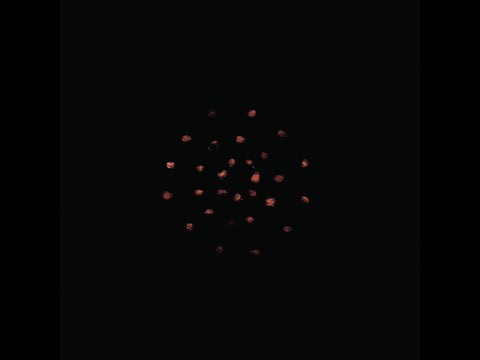 :zoviet*france: - 7.10.12. (Full Album)