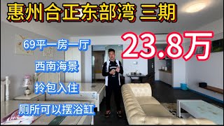 合正東部灣三期高層筍盤一房一廳！69平方米拎包入住西南海景23.8萬！
