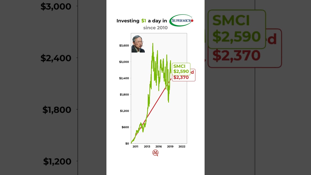 POV: You invested $1/day in Super Micro Computer since 2010📈🔥#investments #stockmarket